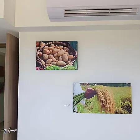 Apartamento Tranquilidad Y Confort En Trevi, Serena Del Mar *